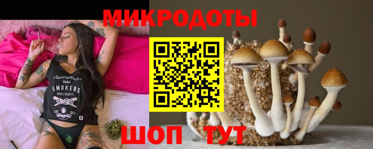 Галлюциногенные грибы мухоморы  Вход с VPN  Новочебоксарск 
